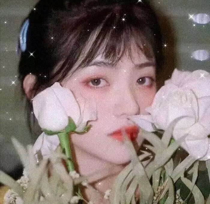 卡罗来纳的卡罗琳